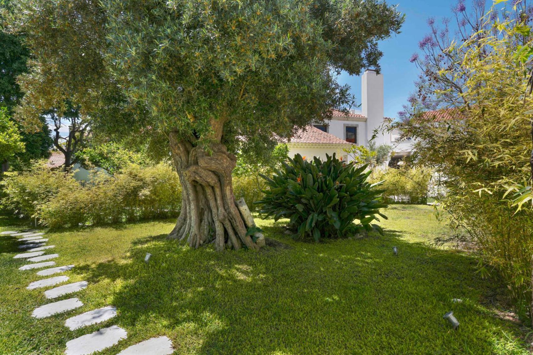 알코체테 Jardim De Copas 아파트 외부 사진
